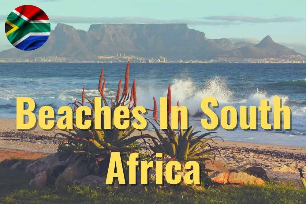 Beaches In South Africa