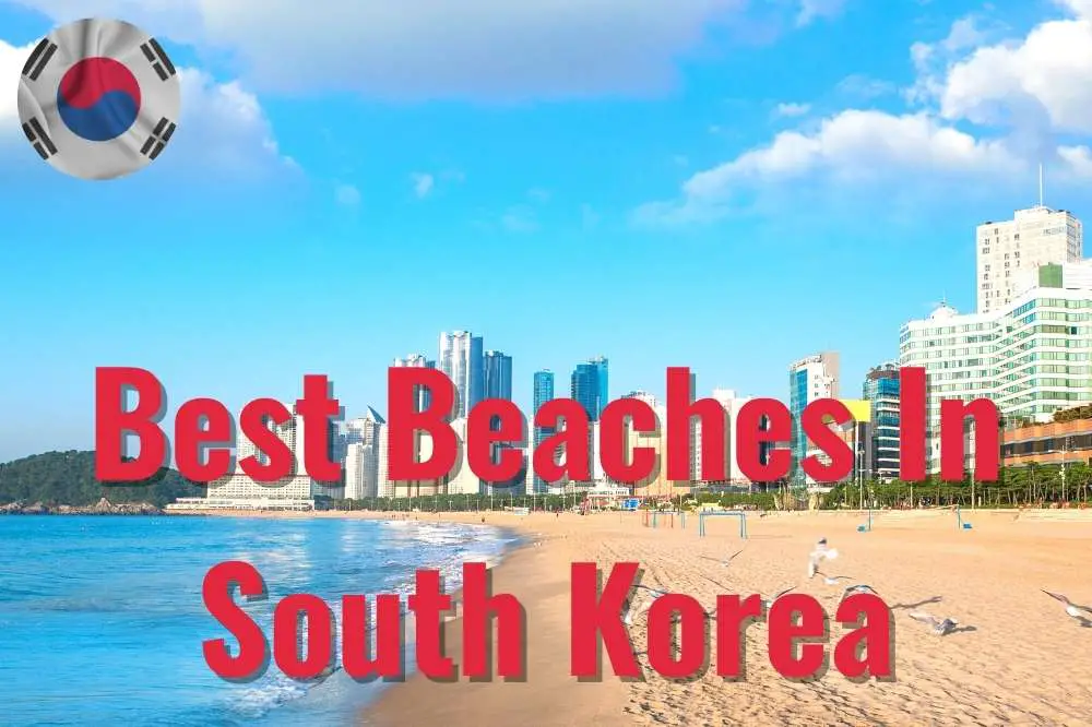 Best Beaches In South Korea