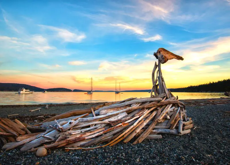 Driftwood Sculptures with toddlers